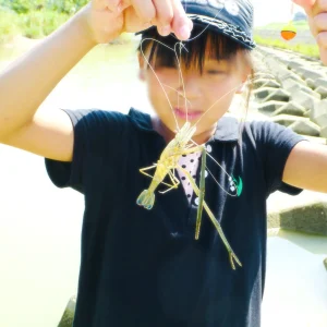 エビ釣り